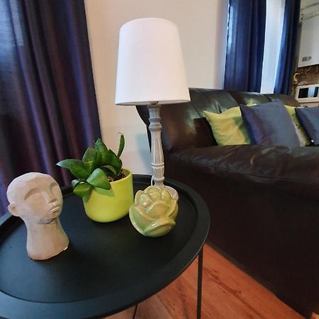 Apartament Gloria Apartament Baia Mare Zewnętrze zdjęcie