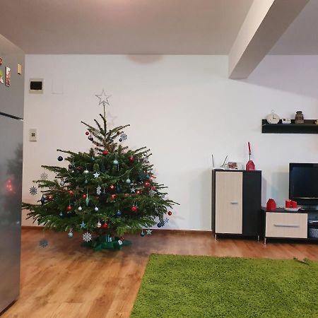 Apartament Gloria Apartament Baia Mare Zewnętrze zdjęcie