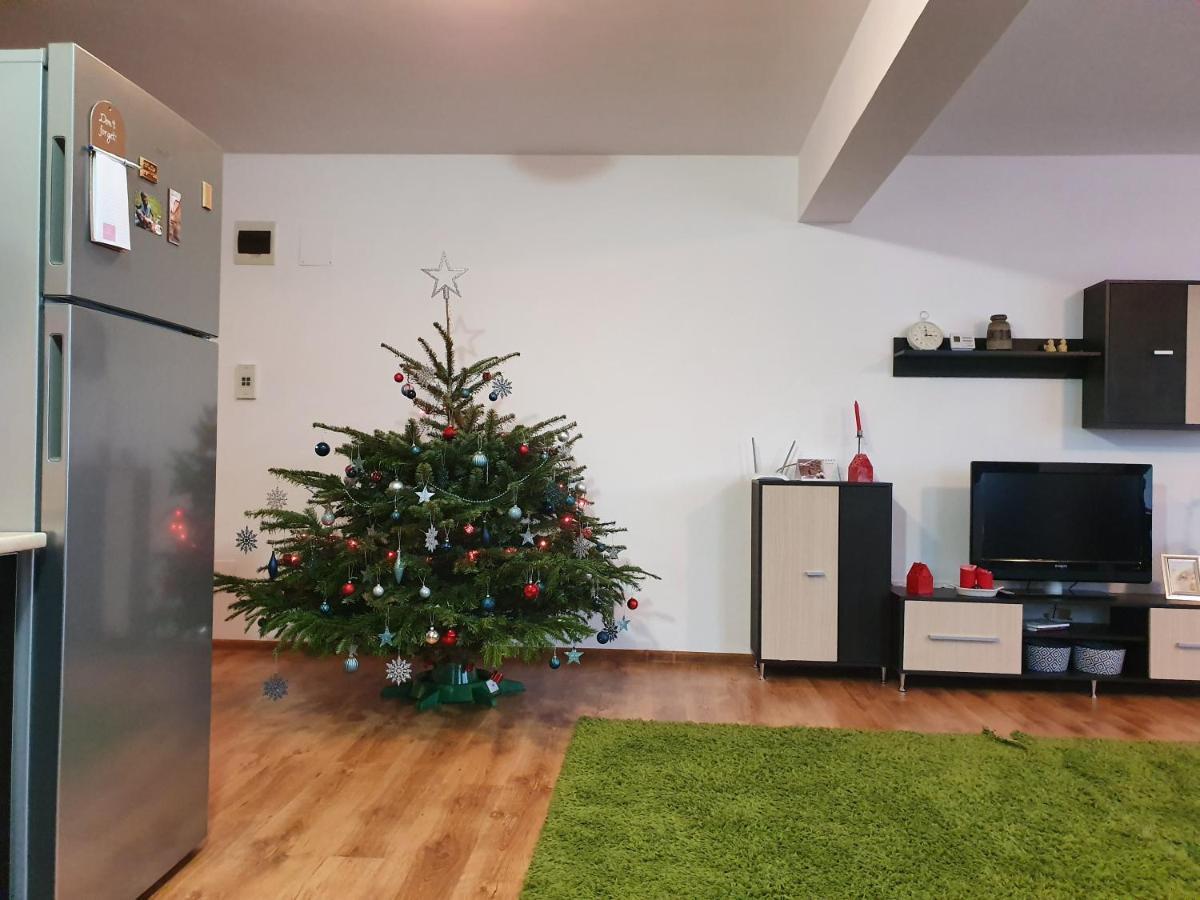 Apartament Gloria Apartament Baia Mare Zewnętrze zdjęcie