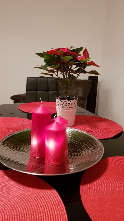 Apartament Gloria Apartament Baia Mare Zewnętrze zdjęcie