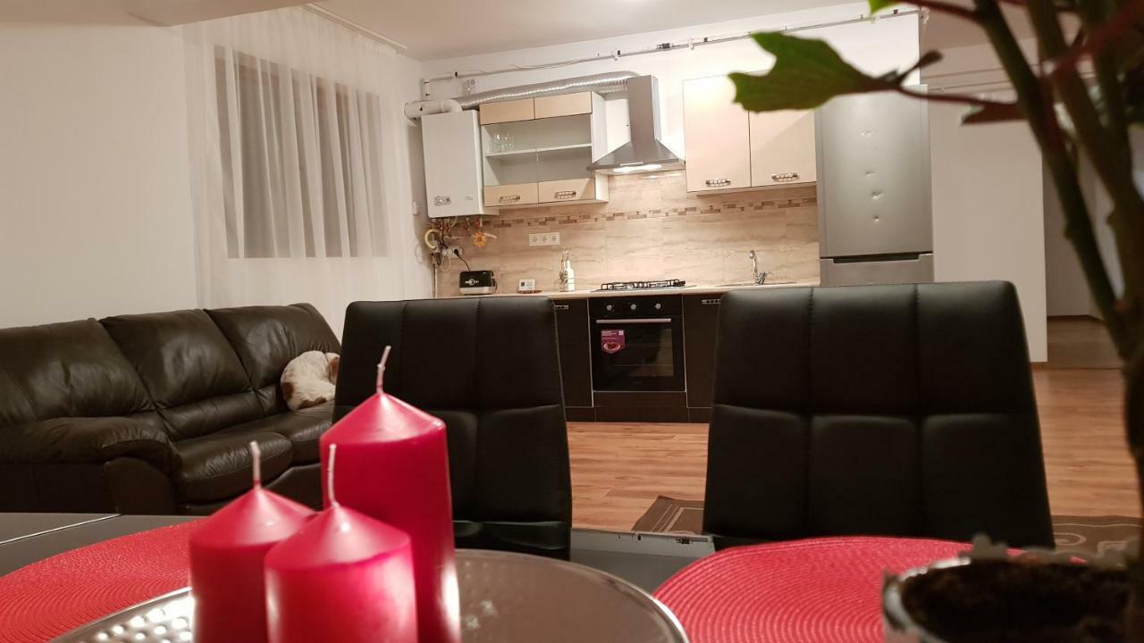 Apartament Gloria Apartament Baia Mare Zewnętrze zdjęcie