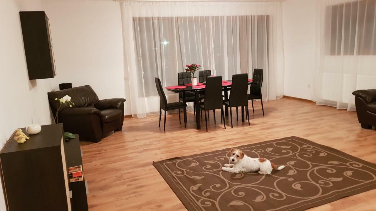 Apartament Gloria Apartament Baia Mare Zewnętrze zdjęcie